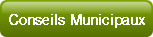 Conseils Municipaux.