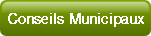 Conseils Municipaux.