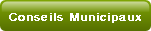 Conseils Municipaux.