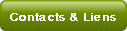Contacts & Liens.