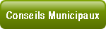 Conseils Municipaux.
