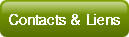 Contacts & Liens.