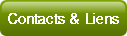 Contacts & Liens.